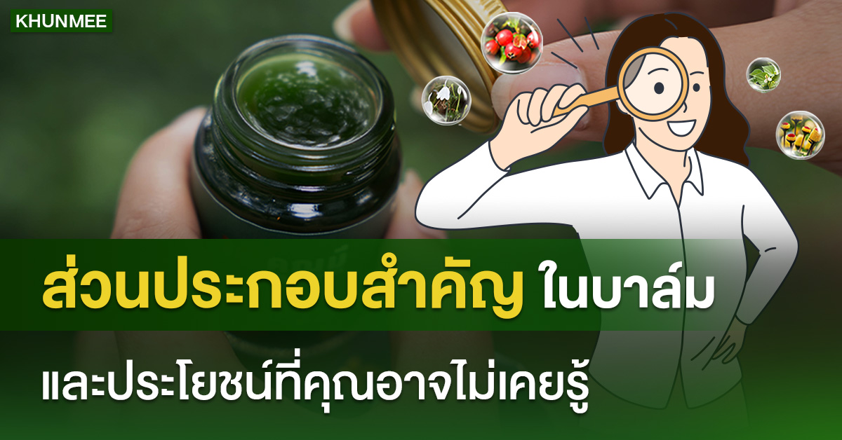 ส่วนประกอบสำคัญในบาล์มนวด