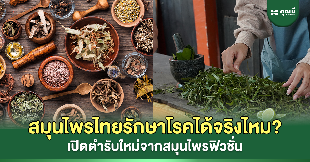 สมุนไพรไทยรักษาโรคได้จริงไหม? เปิดตำรับใหม่จากสมุนไพรฟิวชั่น
