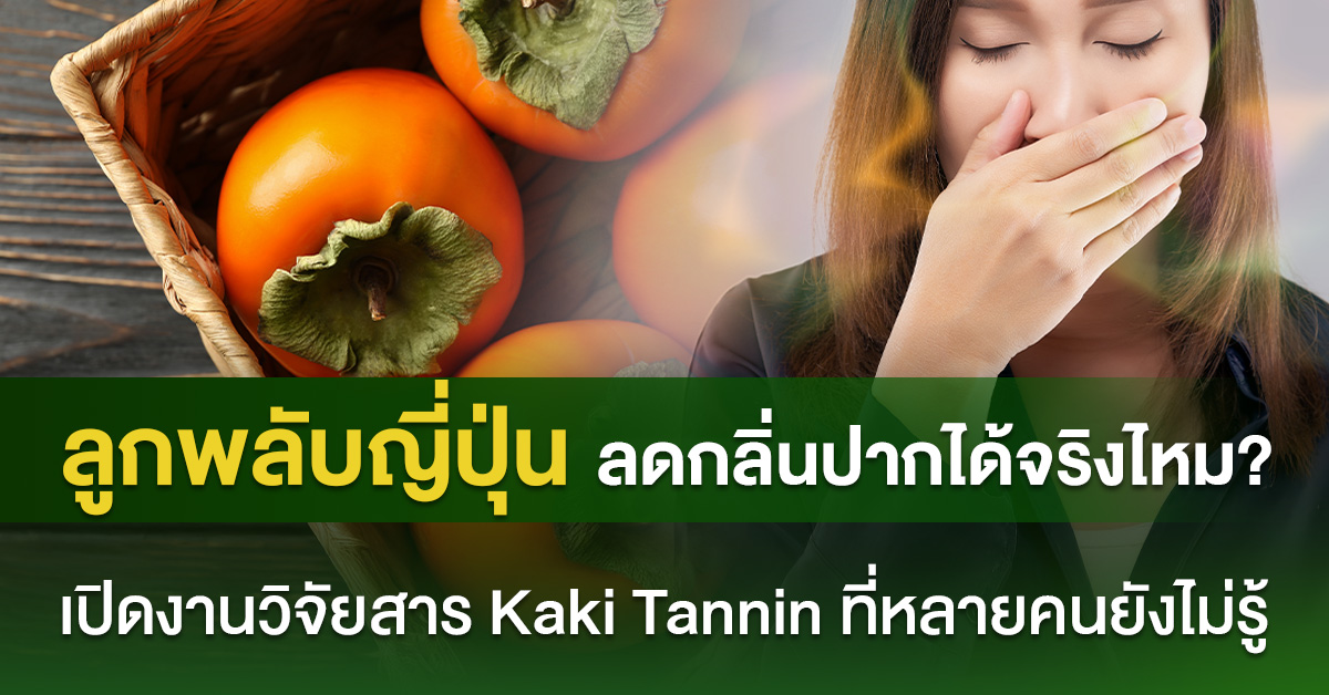ลูกพลับญี่ปุ่นลดกลิ่นปากได้จริงไหม? เปิดงานวิจัยสาร Kaki Tannin ที่หลายคนยังไม่รู้