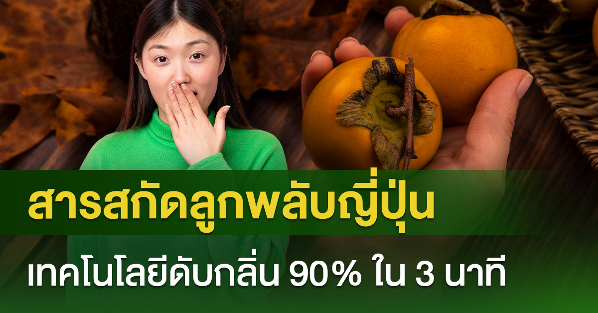 สารสกัดลูกพลับญี่ปุ่น เทคโนโลยีดับกลิ่น 90% ใน 3 นาที