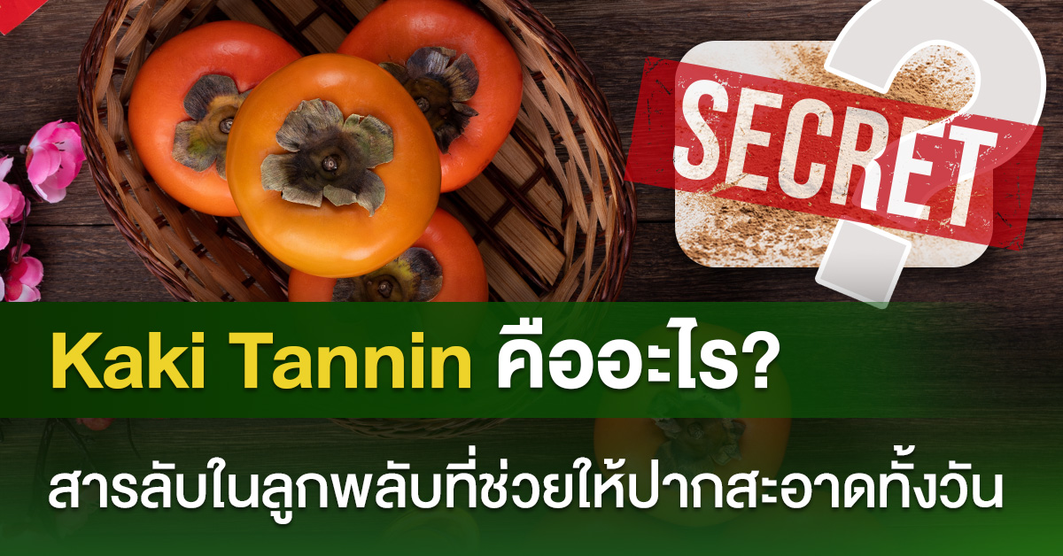 Kaki Tannin คืออะไร? สารลับในลูกพลับที่ช่วยให้ปากสะอาดทั้งวัน