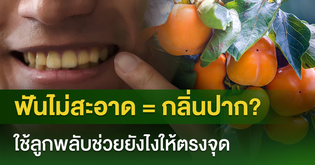 ฟันไม่สะอาด = กลิ่นปาก? ใช้ลูกพลับช่วยยังไงให้ตรงจุด