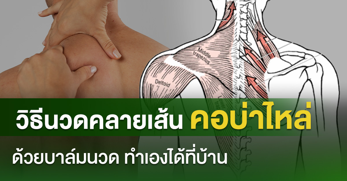 วิธีนวดคลายเส้นคอบ่าไหล่ด้วยบาล์มนวด ทำเองได้ที่บ้าน