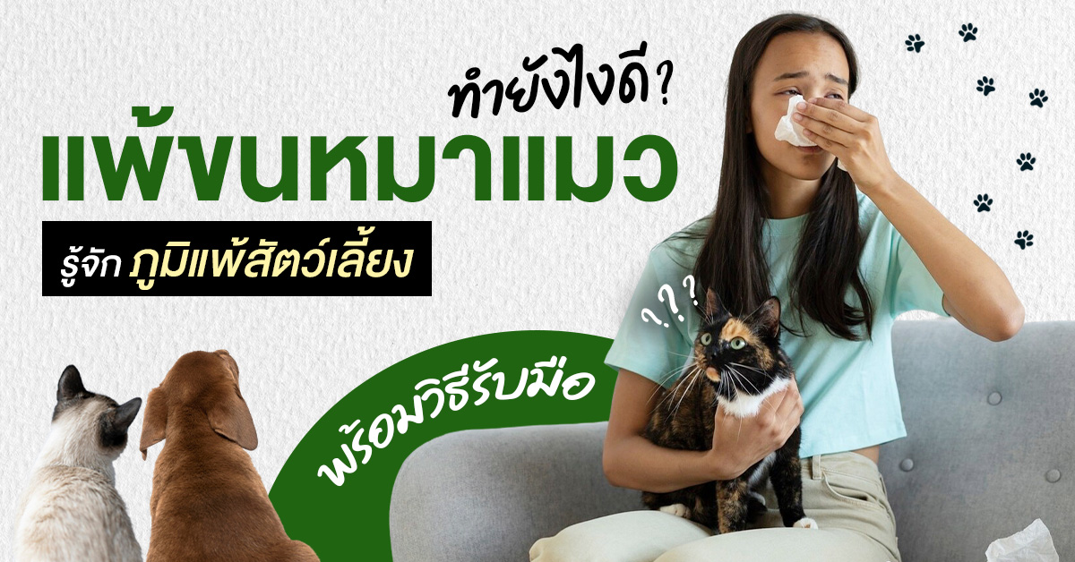 แพ้ขนหมาแมว ทำยังไงดี? รู้จักภูมิแพ้สัตว์เลี้ยง พร้อมวิธีรับมือ