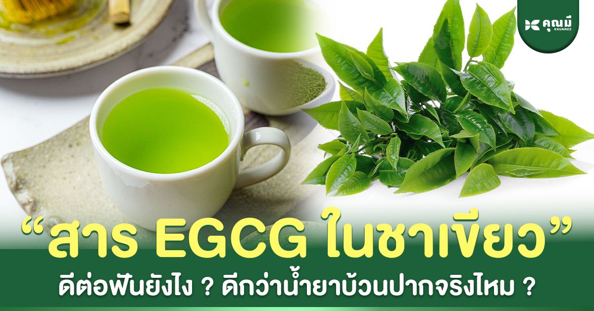 สาร EGCG ในชาเขียว ดีต่อฟันยังไง? ดีกว่าน้ำยาบ้วนปากจริงไหม?