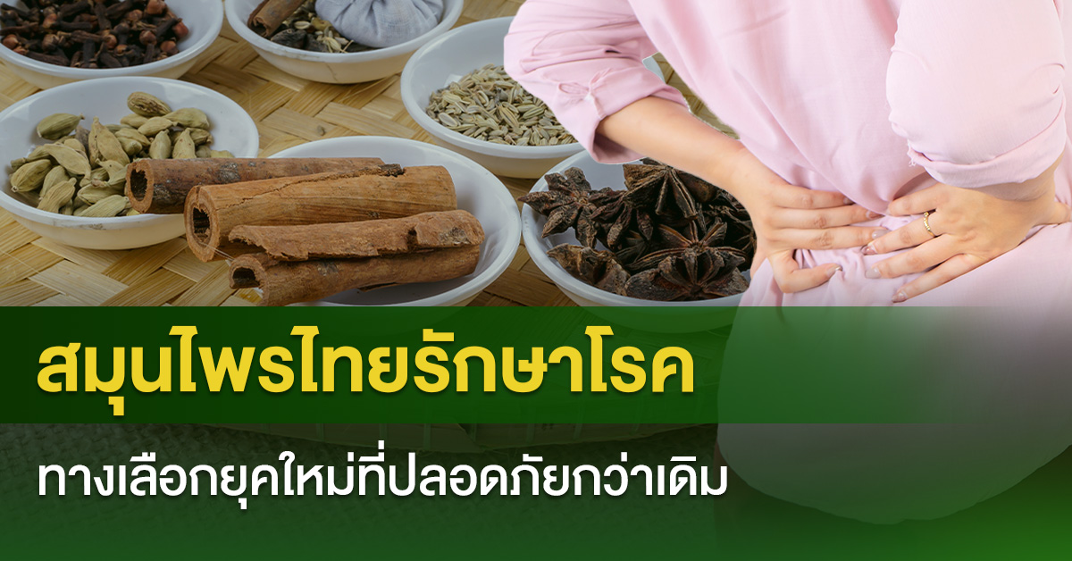 สมุนไพรไทยรักษาโรค กับทางเลือกยุคใหม่ที่ปลอดภัยกว่าเดิม