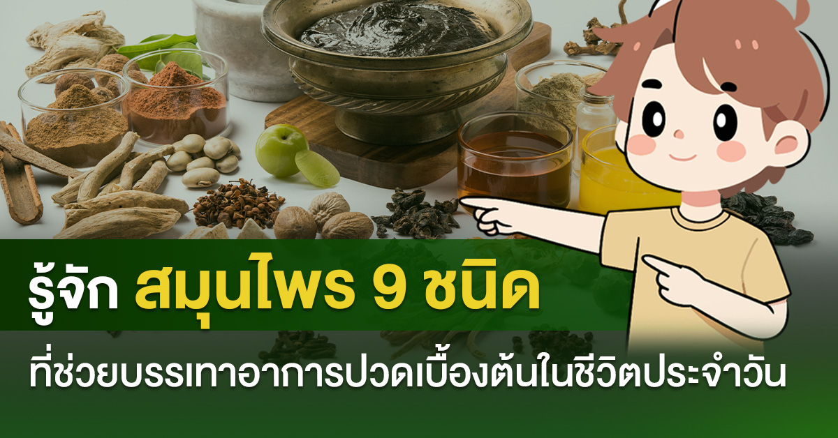 รู้จักสมุนไพร 9 ชนิด ที่ช่วยบรรเทาอาการปวดเบื้องต้นในชีวิตประจำวัน
