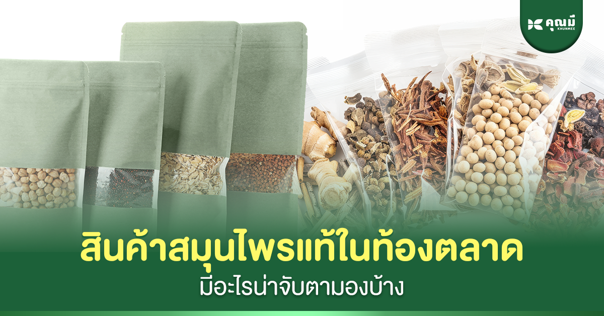 สินค้าสมุนไพรแท้ในท้องตลาด มีอะไรน่าจับตามองบ้าง?