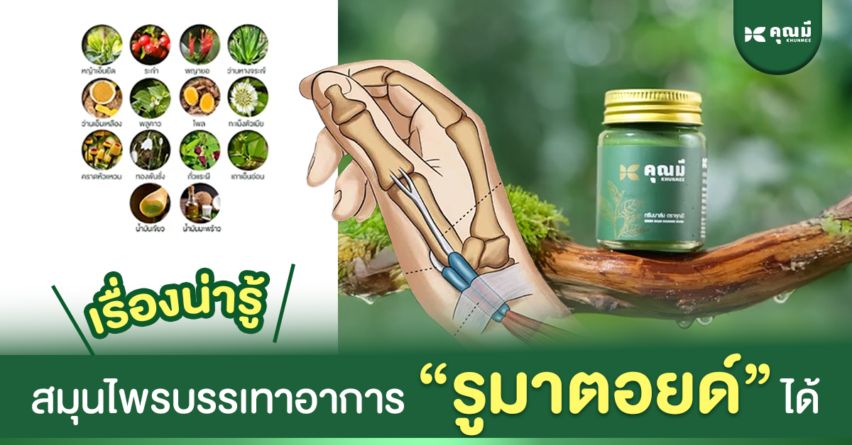 เรื่องน่ารู้ สมุนไพรไทยช่วยบรรเทาอาการรูมาตอยด์ได้