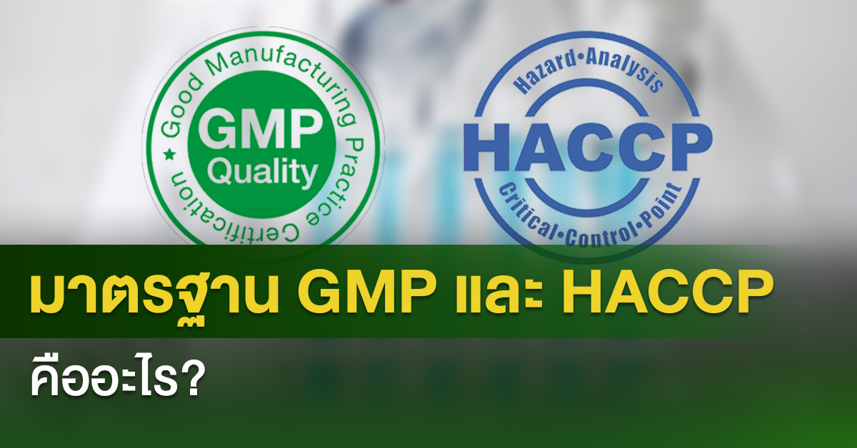 มาตรฐาน GMP และ HACCP คืออะไร?