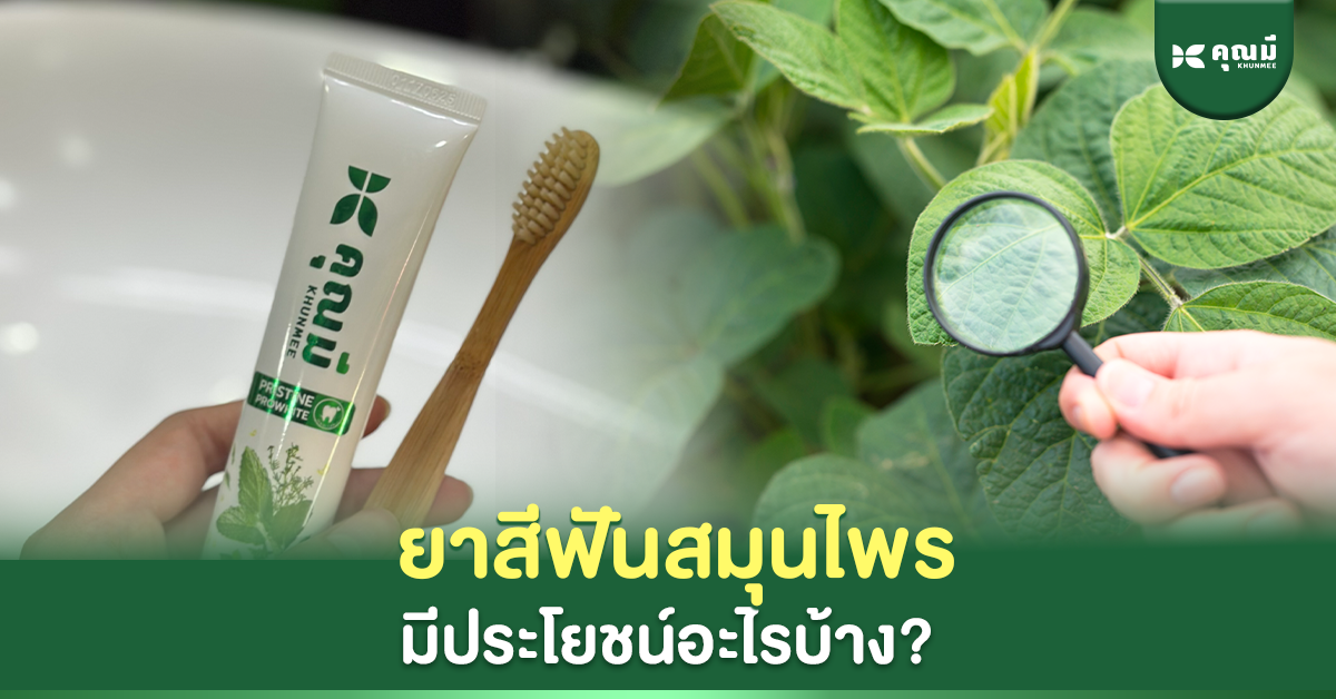 ยาสีฟันสมุนไพรมีประโยชน์อะไรบ้าง?